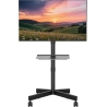 Gembird TV floor stand w caster wheels