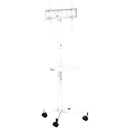 Gembird TV floor stand w caster wheels