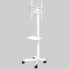 Gembird TV floor stand w caster wheels