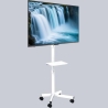 Gembird TV floor stand w caster wheels