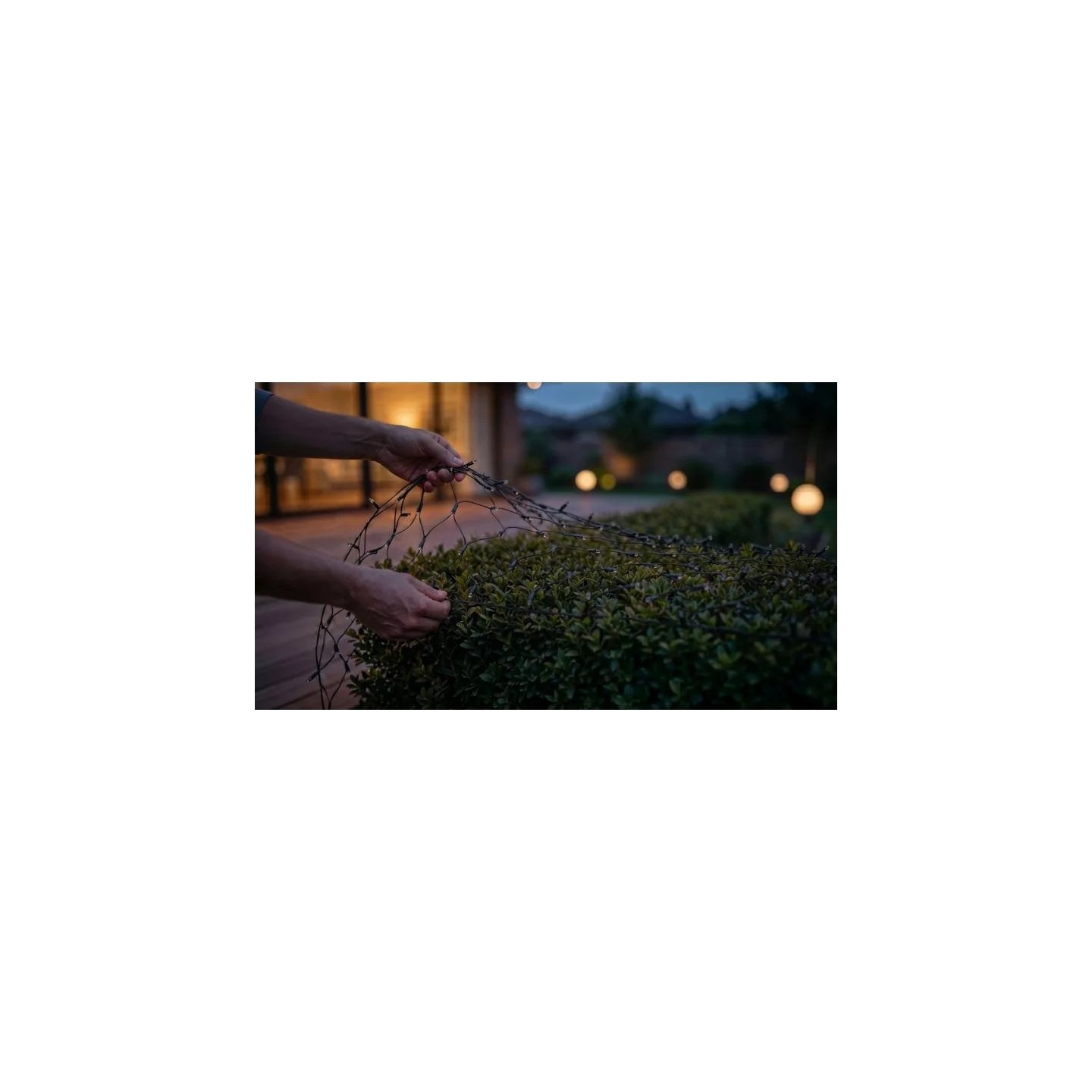 Philips Hue Festavia Net Lighting, 1 x 3.5 m, 250 LEDs, EU | White and color | Bluetooth, Zigbee