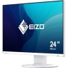 Eizo FLEXSCAN EV2400R 23.8" FHD IPS 100HZ/DP/HDMI/7Y WT