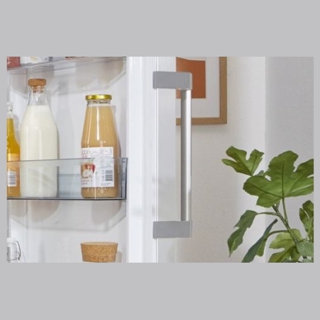 Gorenje Cooler R619EEW5
