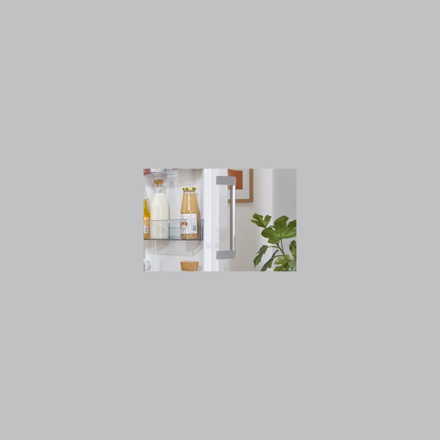Gorenje Cooler R619EEW5