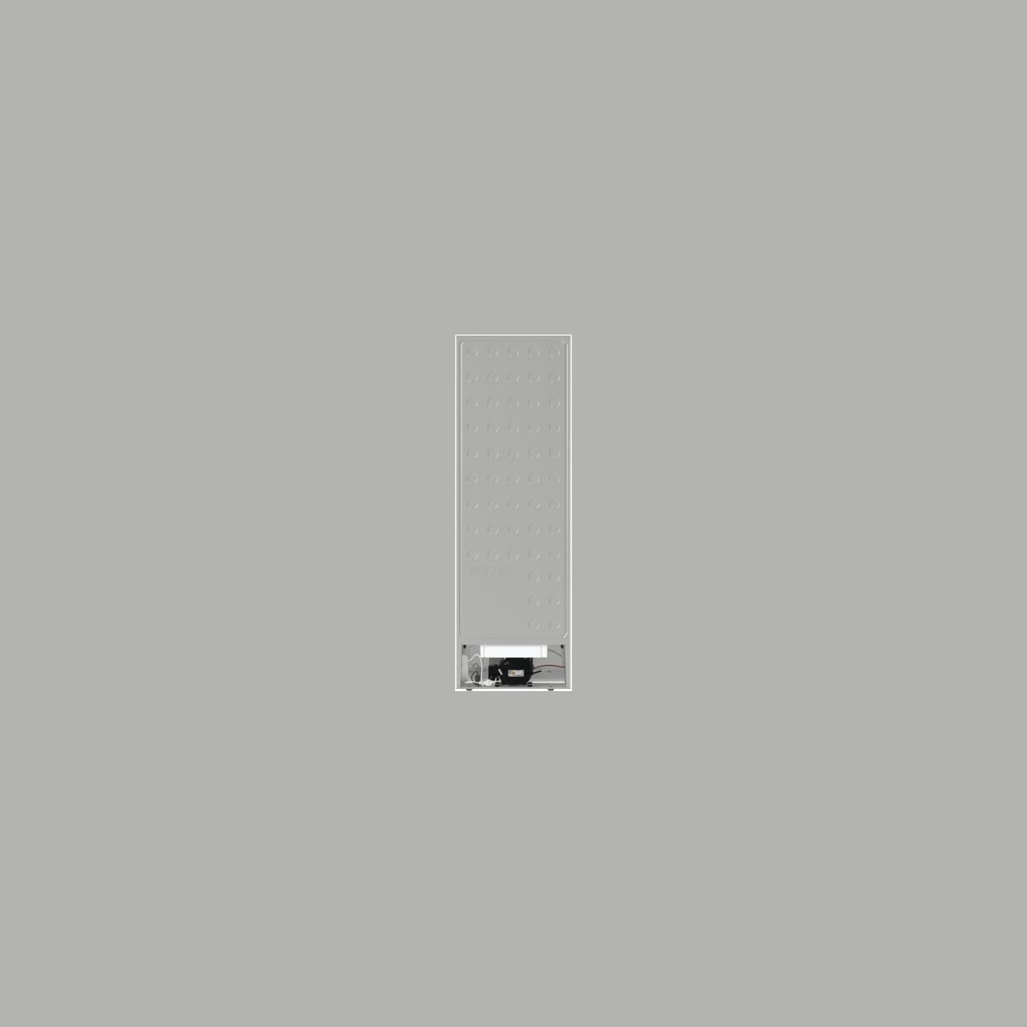 Gorenje Cooler R619EEW5