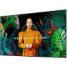 Samsung QM50C 50inch UHD/4K 24/7 500 nit