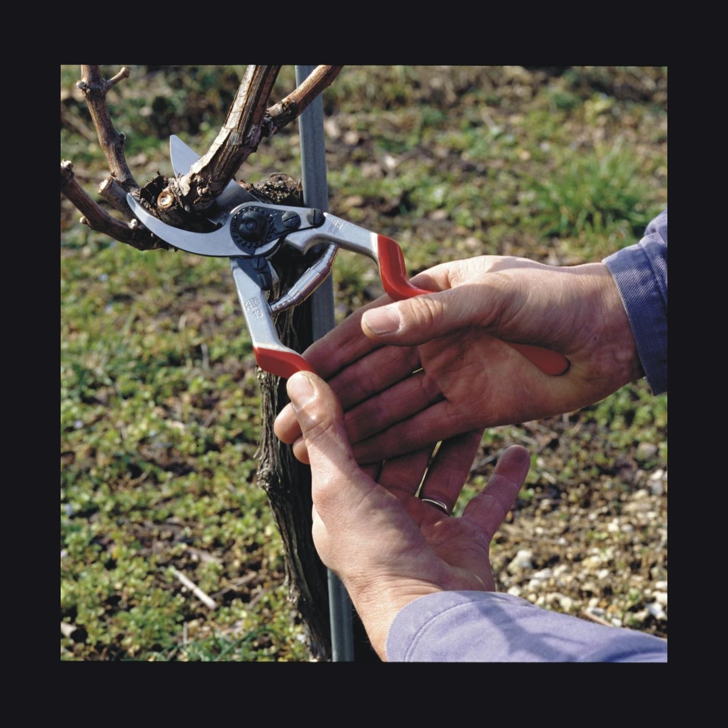 Felco | One-hand pruning shear | FELCO 13