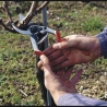 Felco | One-hand pruning shear | FELCO 13