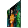 Samsung QM55C 55inch UHD 24/7 500nit