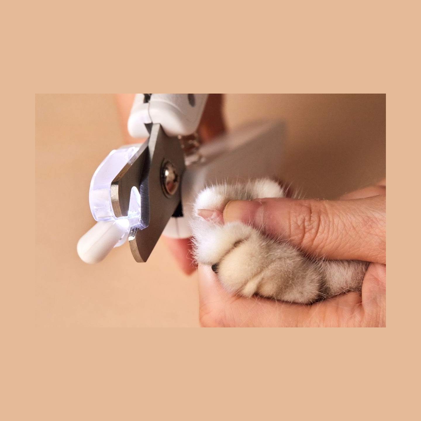 Petkit | LED Light Nail Clipper | White