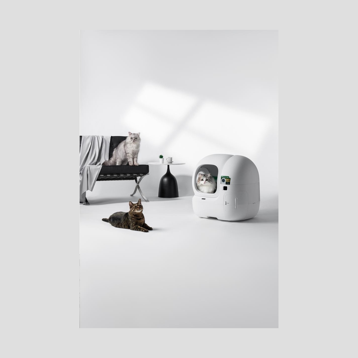 Petkit Automatic Cat Litter Box | Purobot Max Pro 2 | White