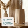 Homedics ARMH-671BG-WW SereneScent Flow Waterless Essential Oil Diffuser