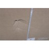 Outlet product photo