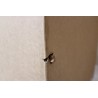 Outlet product photo