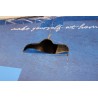 Outlet product photo