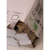 Outlet product photo