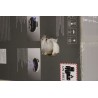 Outlet product photo