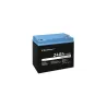 Qoltec 53702 LiFePO4 battery / 24Ah