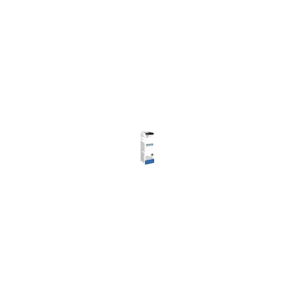 Epson LB5 T6731 BLACK INK BOTTLE