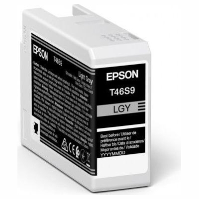 Epson 1LB Singlepack Light Gray T46S9