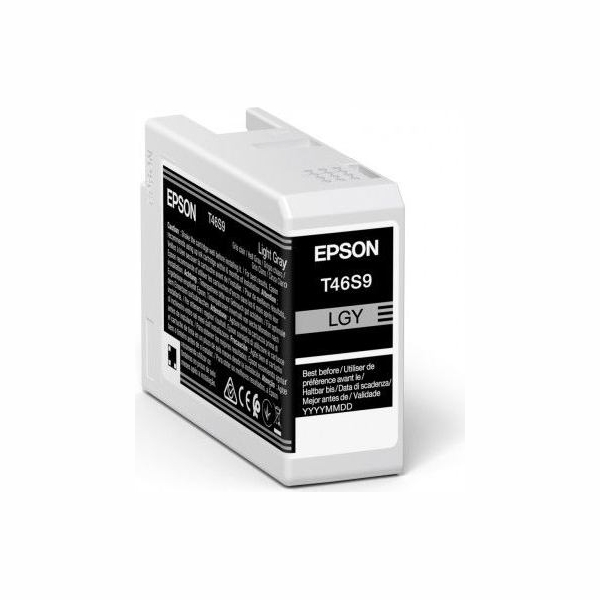 Epson 1LB Singlepack Light Gray T46S9