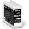 Epson 1LB Singlepack Light Gray T46S9