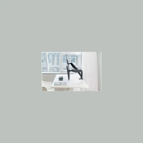 Techly Double Monitor Desk Stand 17-32in