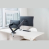 Techly Double Monitor Desk Stand 17-32in