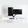 Techly Double Monitor Desk Stand 17-32in