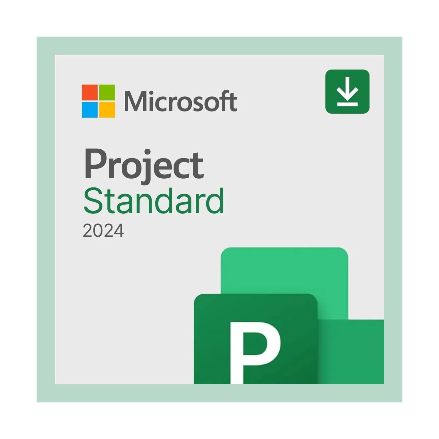 Microsoft MS ESD Project Standard 2024 All Languag