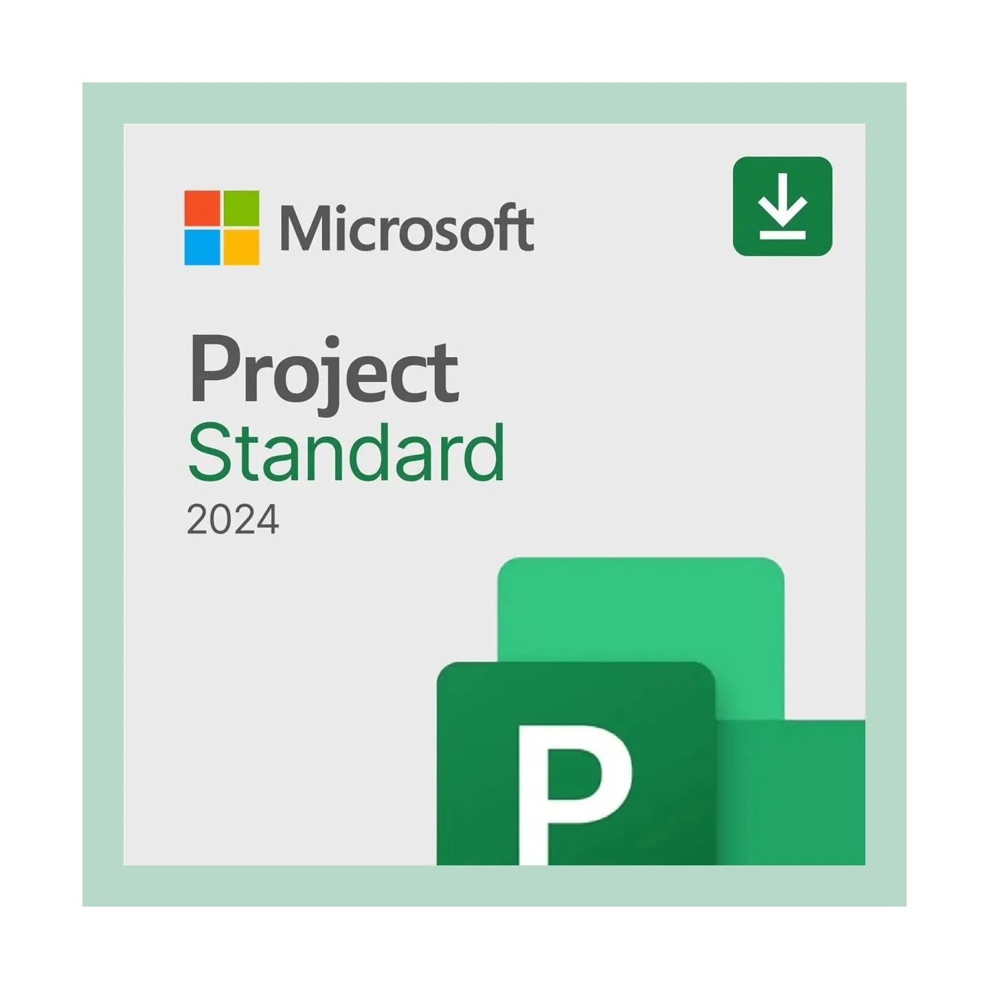 Microsoft MS ESD Project Standard 2024 All Languag