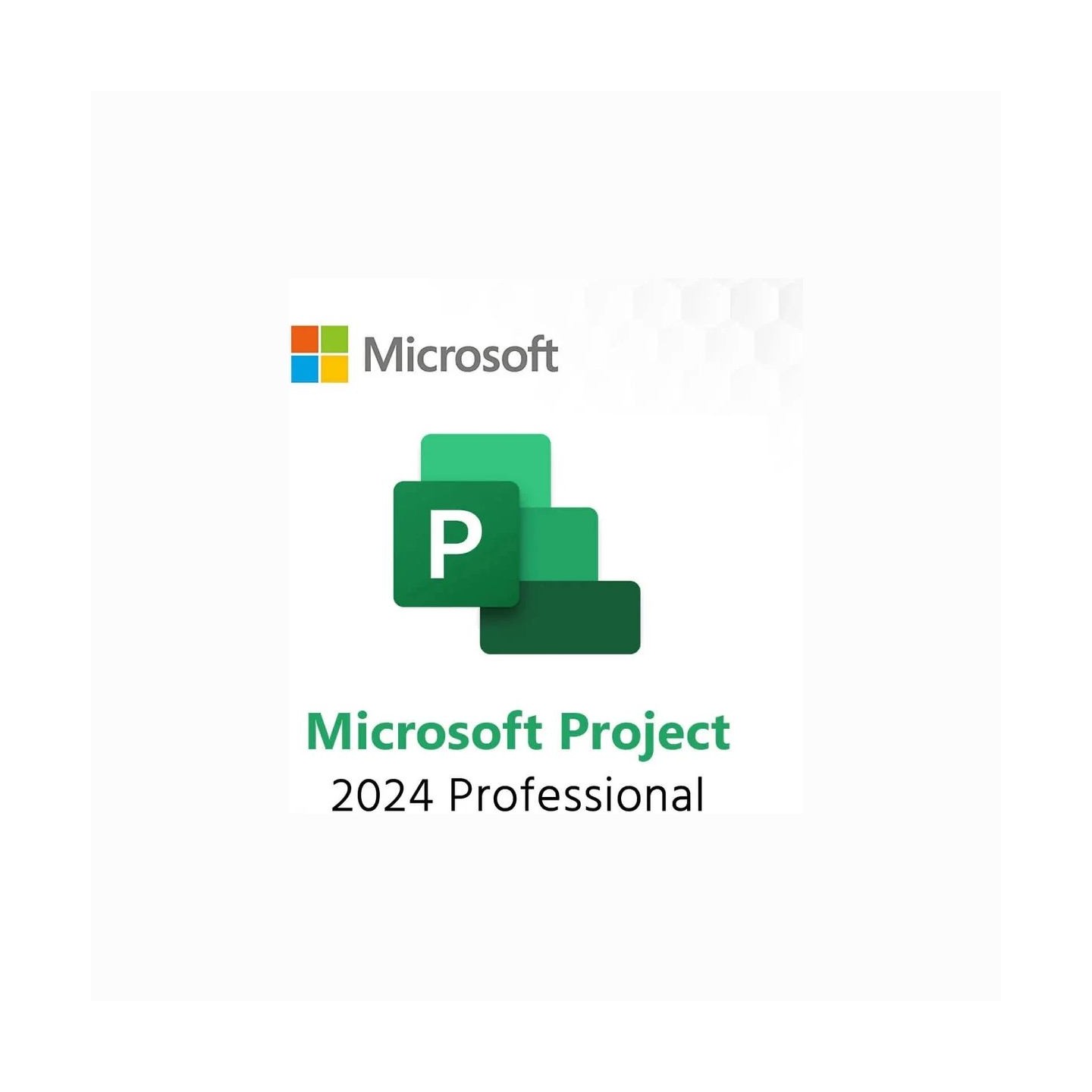 Microsoft MS ESD Project Pro 2024 All Lng Retail