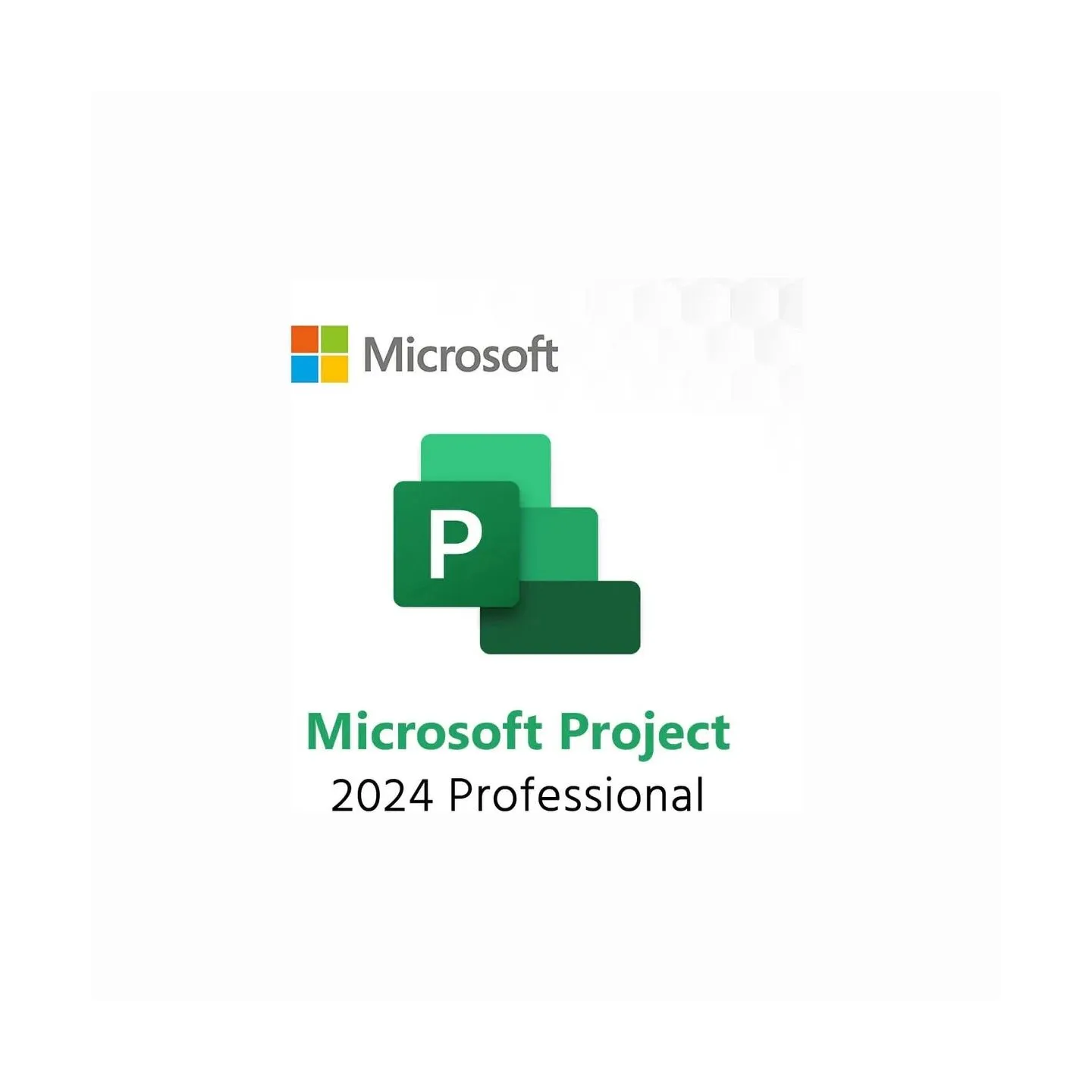 Microsoft MS ESD Project Pro 2024 All Lng Retail