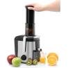 ETA | Juicer | Fresher II ETA503290000 | Type Centrifugal | Silver/Black | 800 W | Number of speeds 2 | 19000 RPM