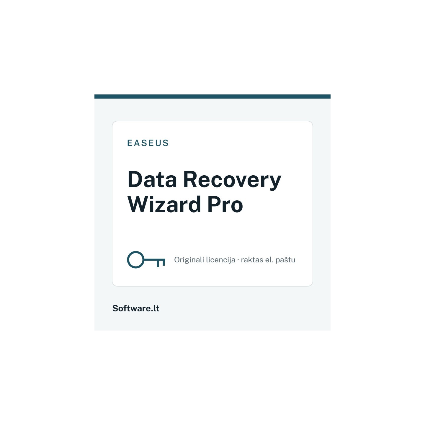 EaseUS Data Recovery Wizard Pro – 1 datoram, Beztermiņa licence