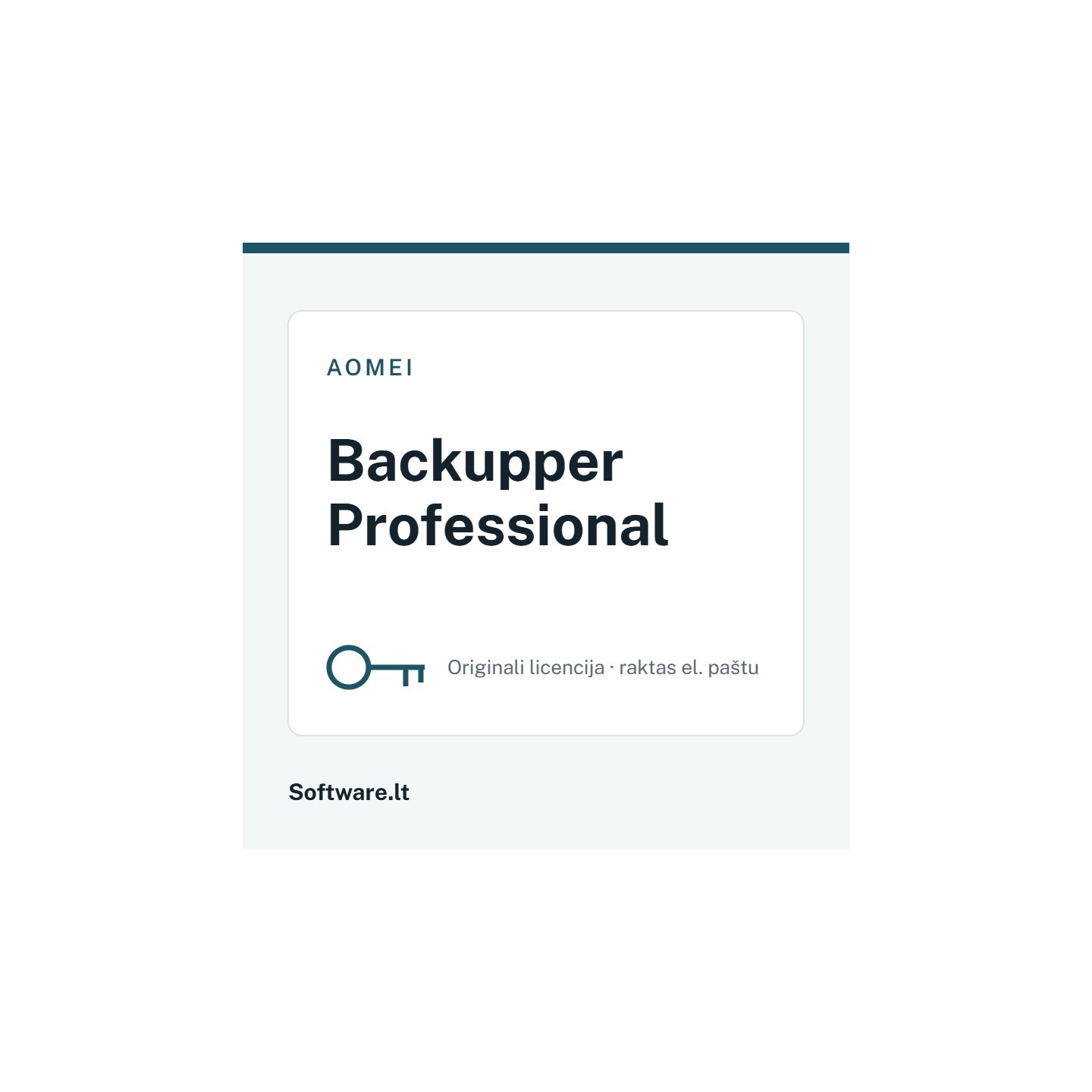 AOMEI Backupper Professional – 2 datoriem, Beztermiņa licence