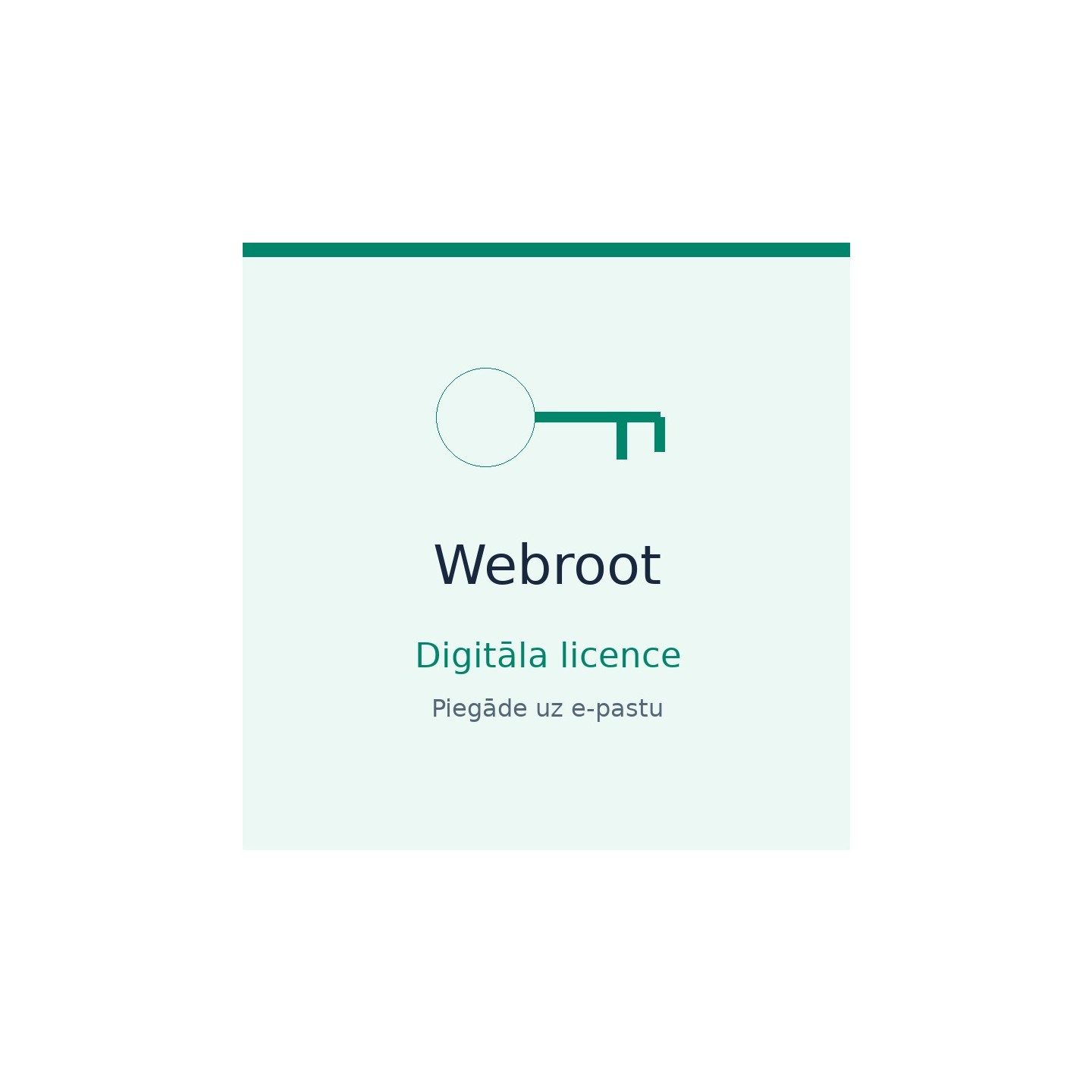Webroot DNS Protection – 1–9 ierīcēm, 2 gadi