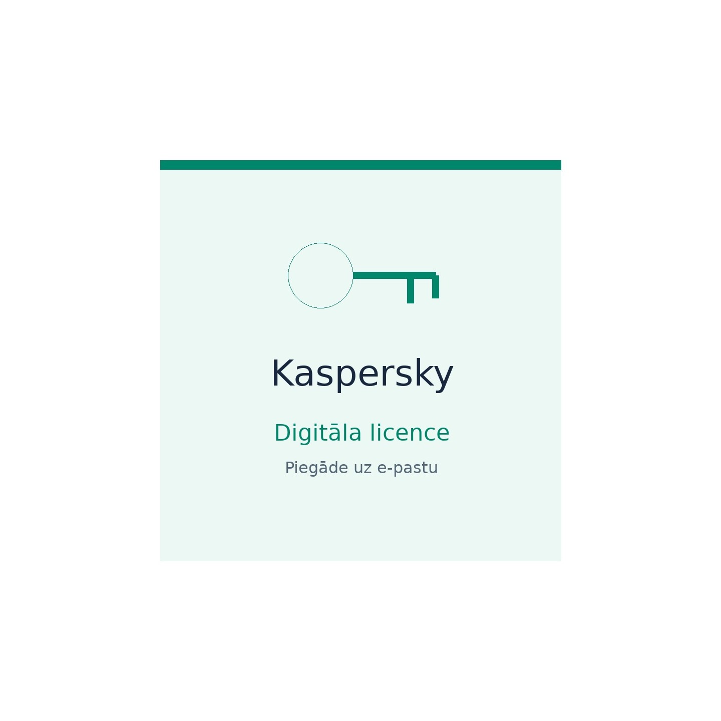 Kaspersky Small Office Security – 1 gads, 25 ierīcēm + 3 serveriai