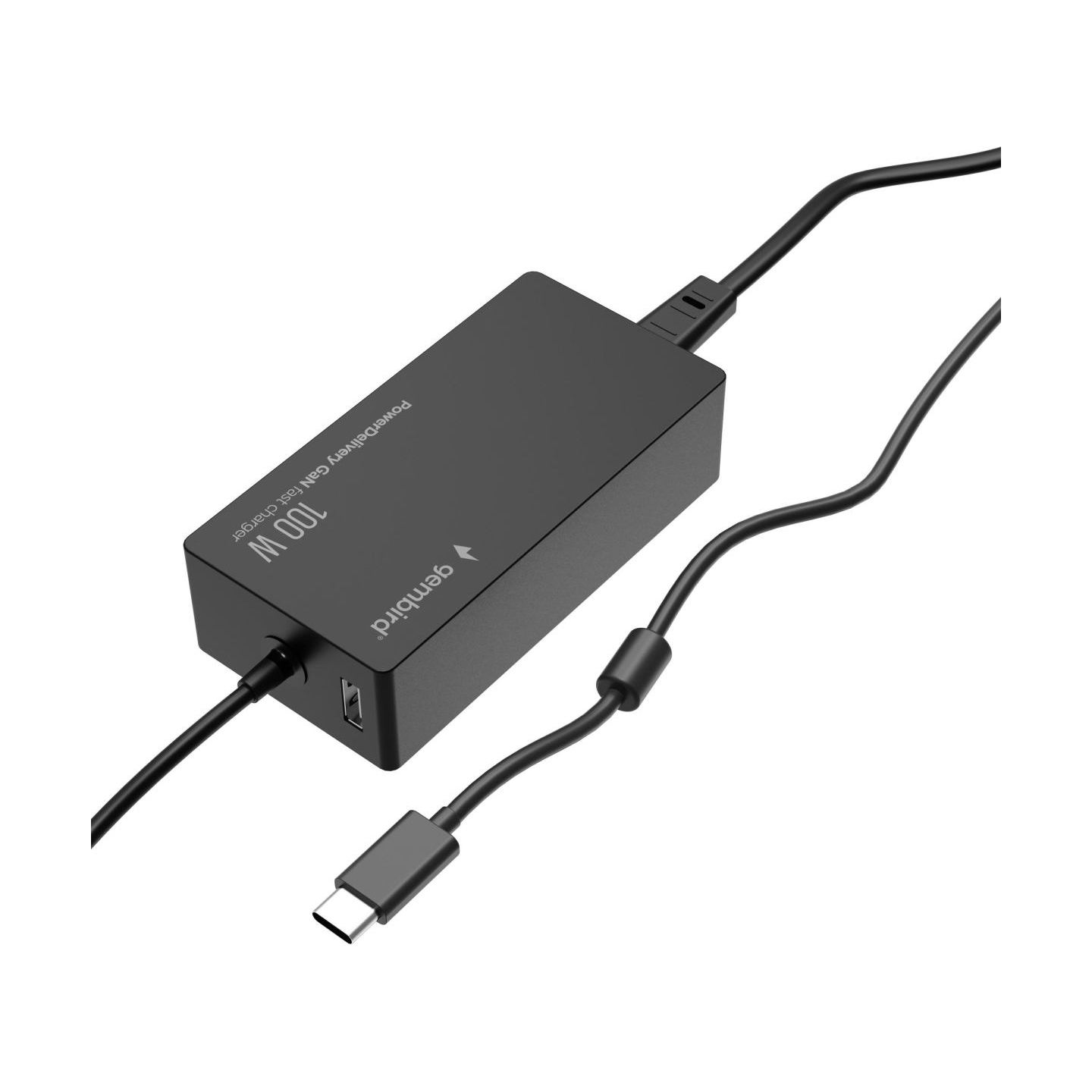 Gembird NB ACC AC ADAPTER 100W/NPA-AC-PDQC100-01 GEMBIRD