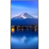 Sharp MultiSync P556 Large Format Monitor - 55-inch UHD, 700 cd/m2, 24/7 Operation