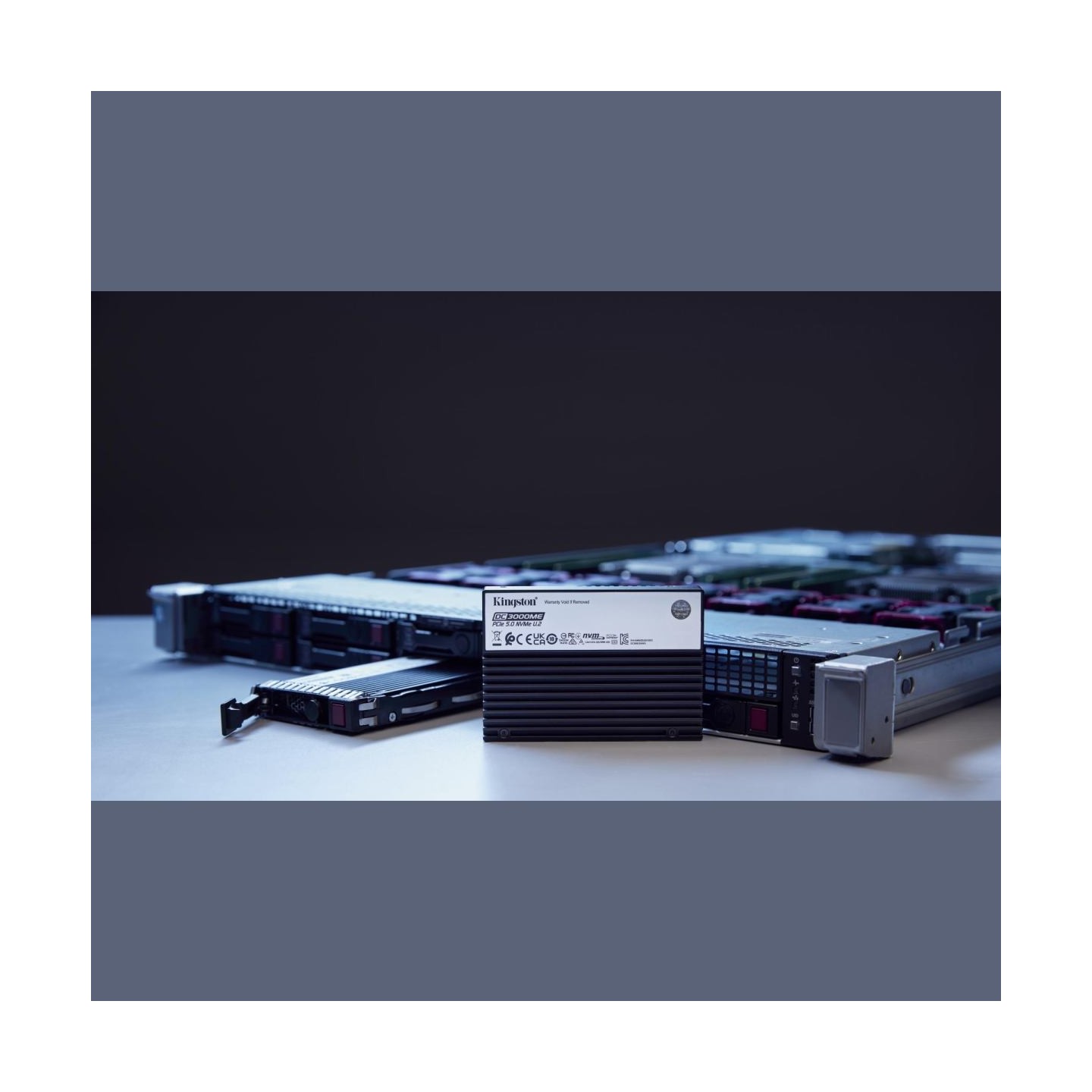 Kingston 7.68TB DC3000ME U.2 PCIe SSD
