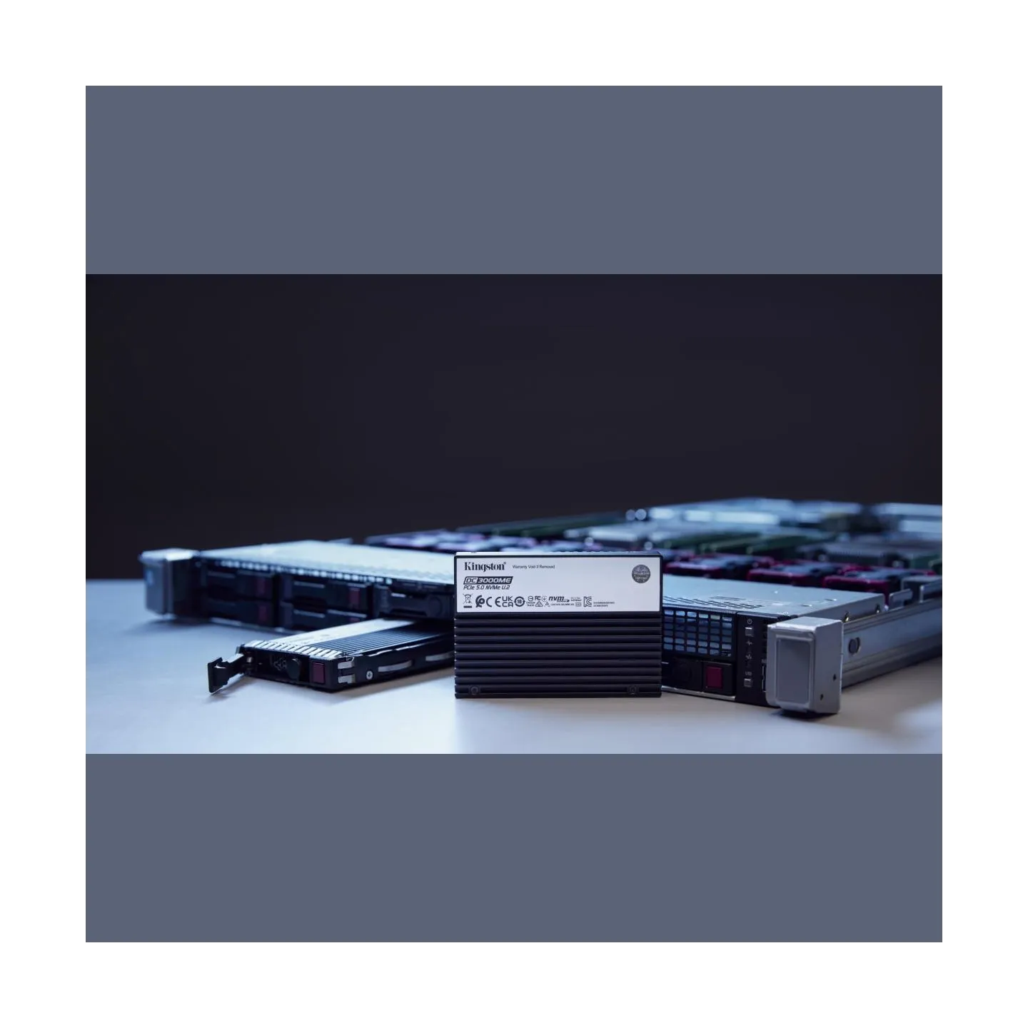 Kingston 7.68TB DC3000ME U.2 PCIe SSD
