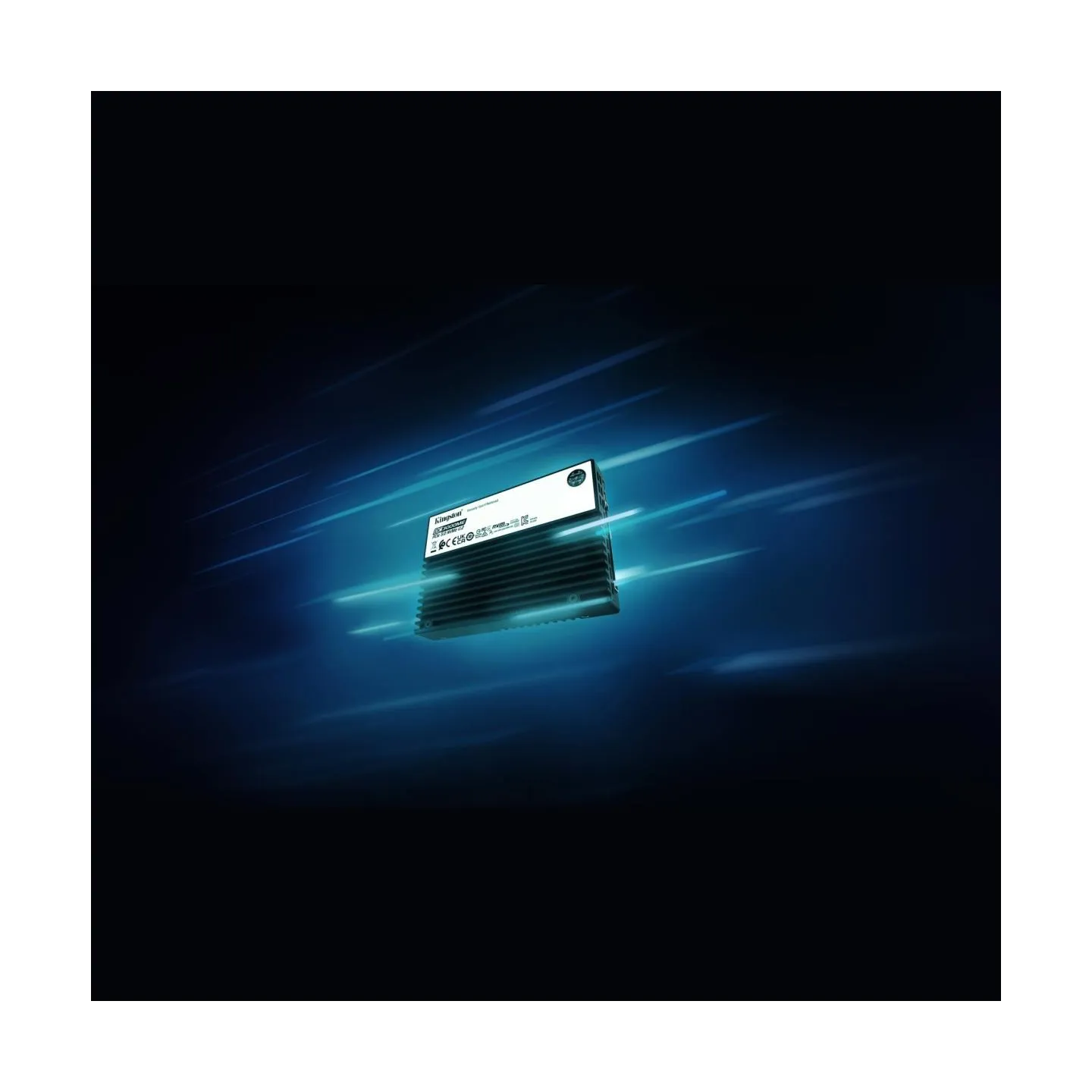 Kingston 7.68TB DC3000ME U.2 PCIe SSD