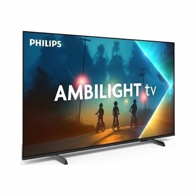 Philips TV LED 55 inches 55PUS8100/12