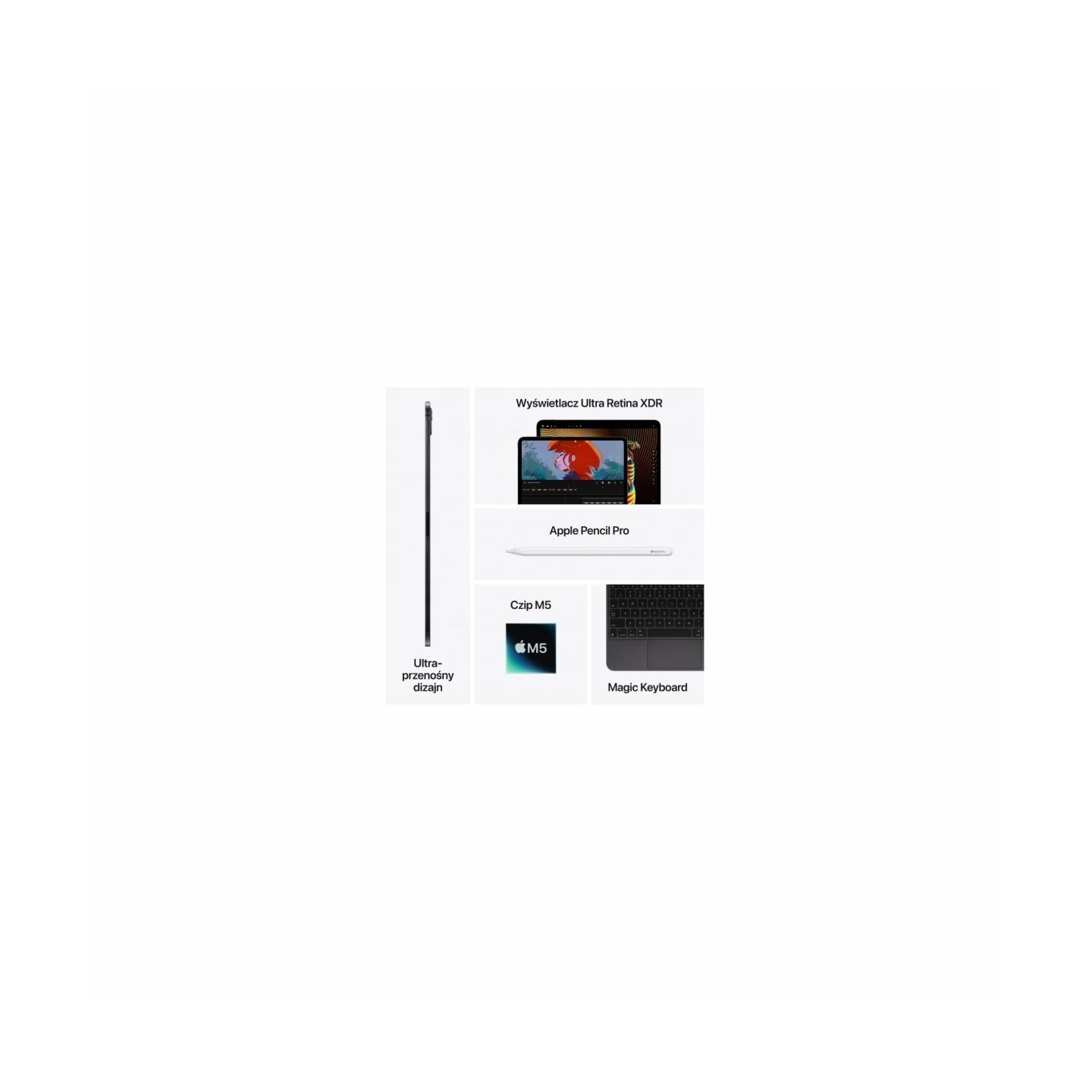 Apple | iPad Pro Wi-Fi + Cellular | 13 " | Silver | OLED, Ultra Retina XDR | 2752 x 2064 pixels | Apple M5 | 12 GB | 256 GB | 3G