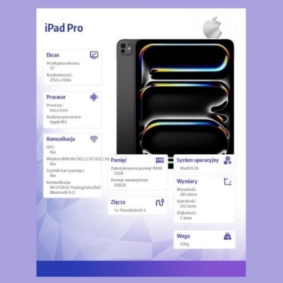 Apple iPad Pro 13 inches Wi-Fi 256 GB Standard glass - Space Black