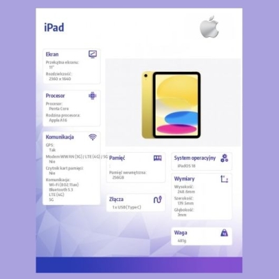 Apple IPAD WF CL 256GB YLW