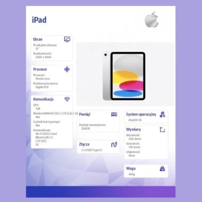 Apple IPAD WF CL 256GB SLV
