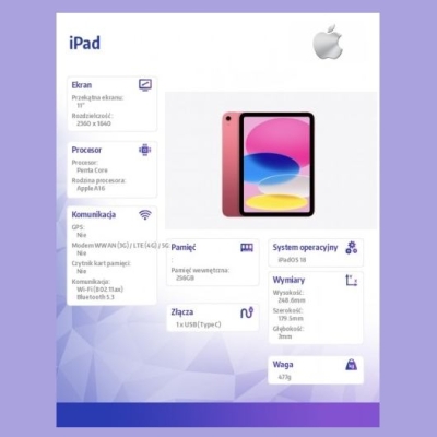 Apple IPAD WIFI 256GB PNK