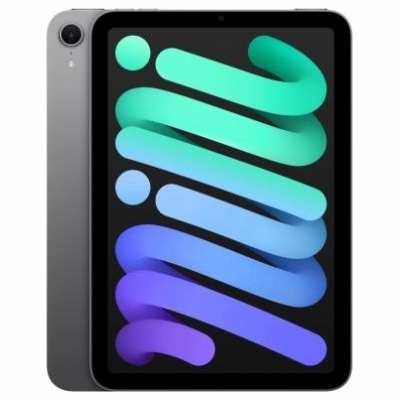 Apple iPad mini Wi-Fi 256GB Space Gray